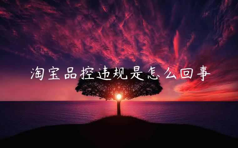 淘寶品控違規(guī)是怎么回事